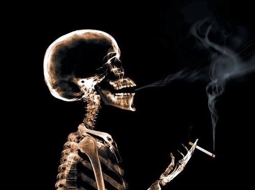 抽菸的人不能服用ß-胡蘿蔔素配方嗎?不盡然