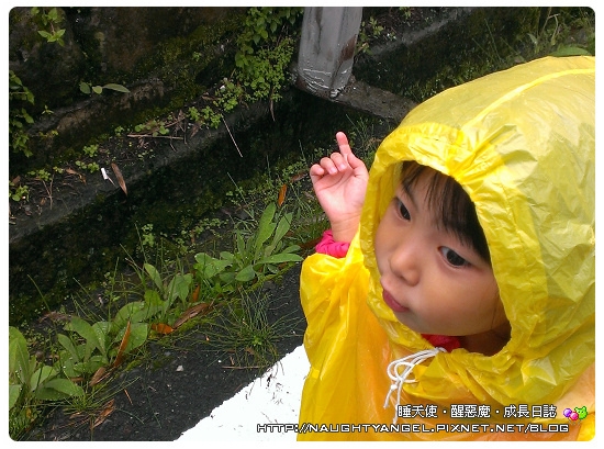 嘉義有氧之旅 ~ 漫步瑞峰休閒農業園區.民宿夜訪螢火蟲