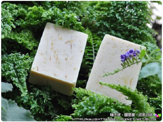 夏天到,皮膚問題到→手工皂舒緩肌膚問題!