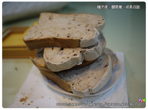 Panasonic 105T‧蔓越莓養樂多土司