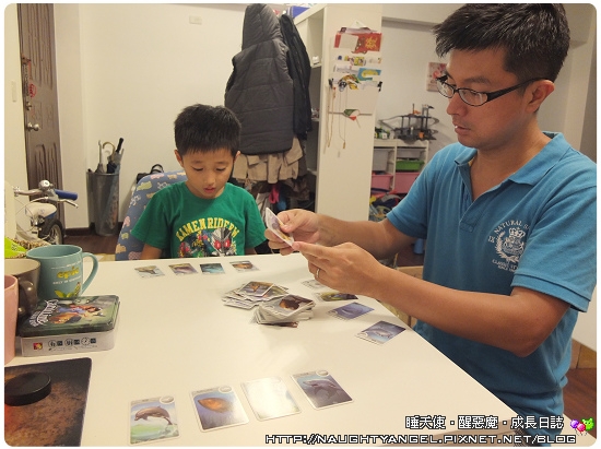 【桌遊】拋開戰鬥卡陪孩子玩動物知識卡一同長知識
