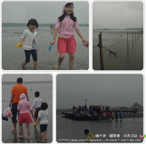 天然遊戲教室-【台中】清水高美溼地