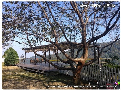 露營必推.八五山甜杮森林