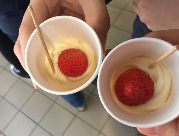 高雄爆紅超人氣排隊手作甜點::小黃窩窩,行動ㄅㄨㄅㄨ餐車,終於有店面了