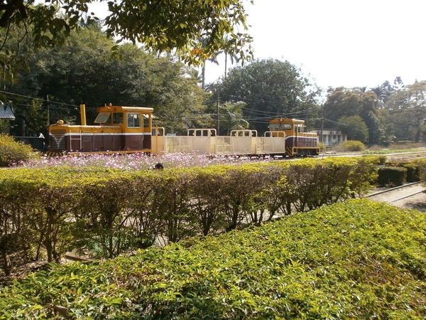 來趟懷舊之旅~高雄橋頭糖廠~仿佛進入時光隧道