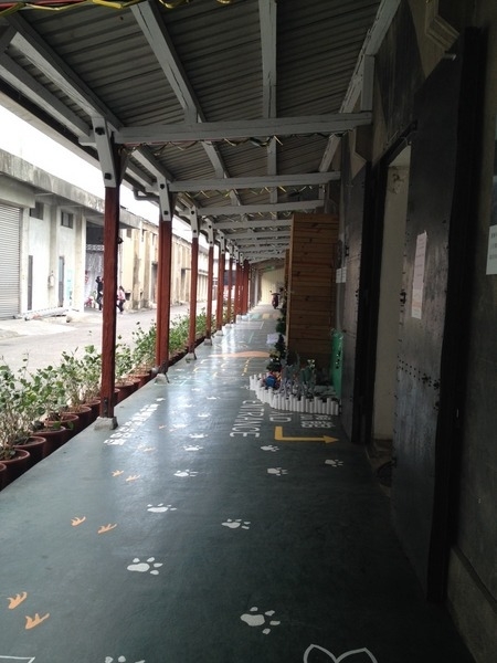 &amp;amp;amp;amp;amp;amp;amp;amp;amp;lt;景點&amp;amp;amp;amp;amp;amp;amp;amp;amp;gt;茉莉花壇夢想館-花壇有花喔
