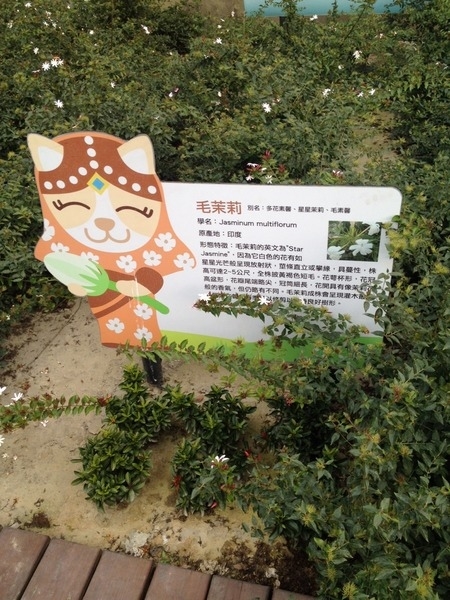 &amp;amp;amp;amp;amp;amp;amp;amp;amp;amp;amp;amp;amp;amp;amp;amp;amp;amp;amp;amp;amp;amp;amp;lt;景點&amp;amp;amp;amp;amp;amp;amp;amp;amp;amp;amp;amp;amp;amp;amp;amp;amp;amp;amp;amp;amp;amp;amp;gt;茉莉花壇夢想館-花壇有花喔