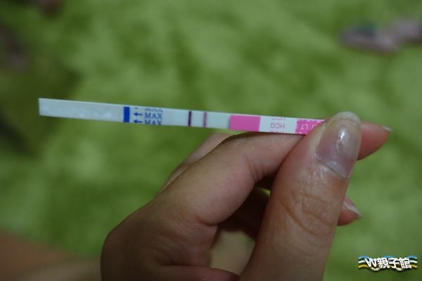 懷孕禁忌不能吃的食物-W親子館