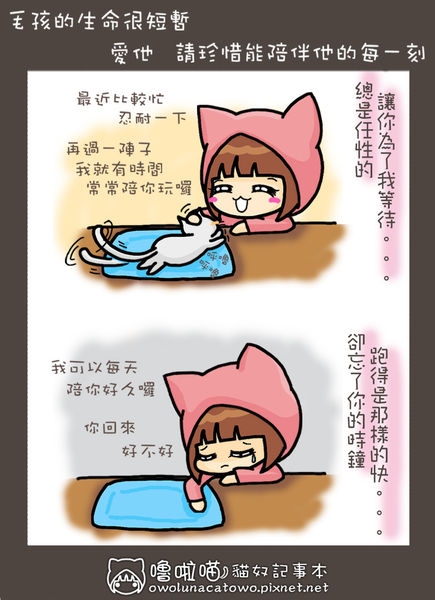 【貓奴記事本】別讓毛孩等太久