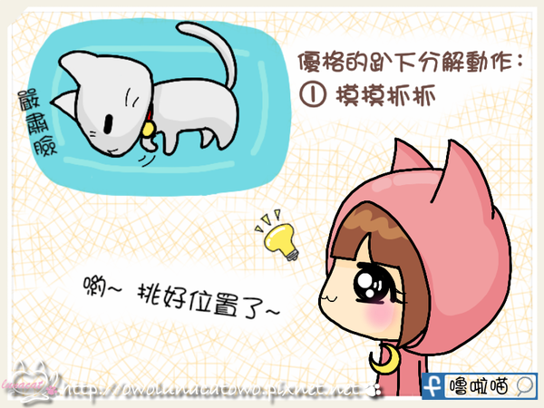 【貓奴記事本】貓咪趴下分解動作