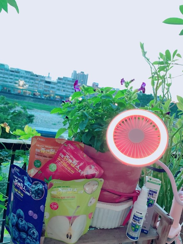「戶外推薦」倪倪愛旅行-夏日出遊必備【東國生技】DEPENS BUGS 防蚊液+【morac】360度照明夾式風扇+韓國【Juicy 】健康水果果乾 ~Labebe購物網團購開箱推薦分享