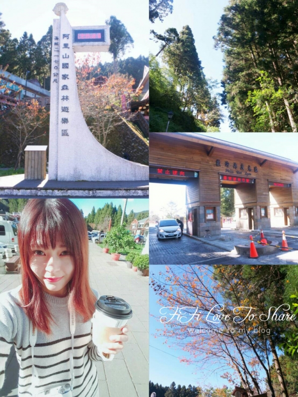 ▌嘉義。阿里山 ▎阿里山國家森林遊樂區&受鎮宮