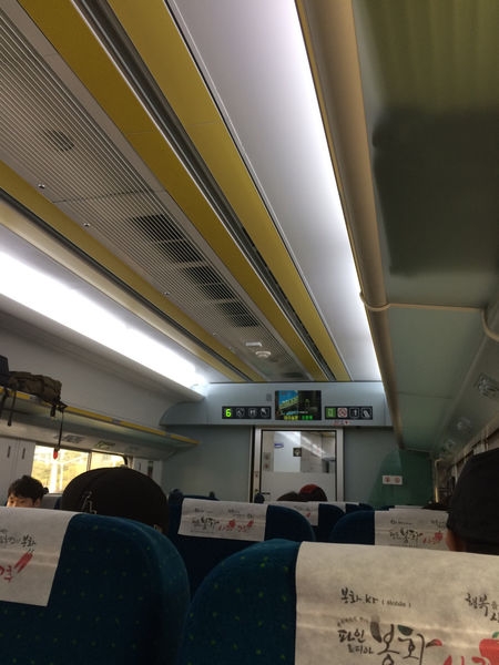 Korea trip day 5 (韓國首爾遊 第五天 京畿道 南怡島)