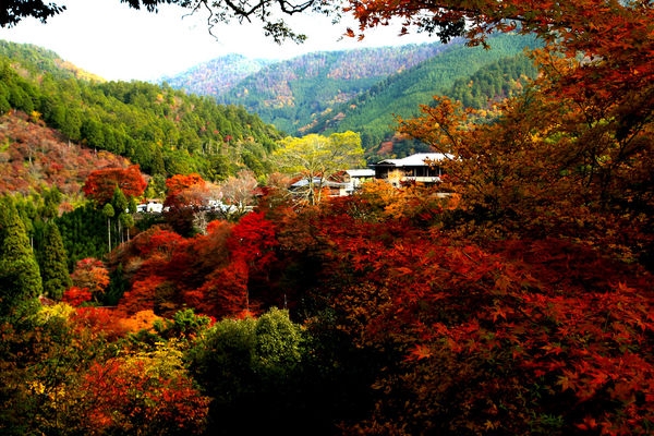 2013京都賞楓自由行~DAY9~高雄神護寺