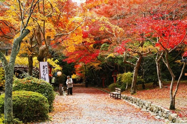 2013京都賞楓自由行~DAY15~大原野神社、正法寺