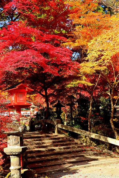 2013京都賞楓自由行~DAY8~鍬山神社