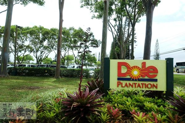 【夏威夷】杜爾鳳梨園 Dole Plantation:挑戰世界上最大的鳳梨園迷宮!