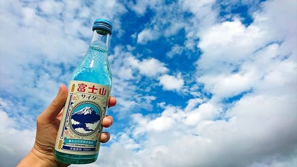 【河口湖景點推薦】自然生活館&大石公園:賞花、眺望富士山的好地點