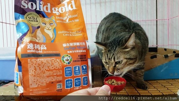 健康毛孩最愛~SolidGold速利高超級寵糧體驗心得分饗
