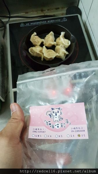 宅配手工水餃推薦~手工嚴選松阪豬好料精製貓咪啃餃子水餃與美味雞捲試吃體驗心得分享