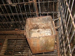 《十萬伙集》部落格串連 - 為旗山2百受虐犬募救命飼料