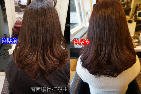 (美髮)台北/中山站~今年最IN的莓紅髮色,就交給FIN Salon 2號店~設計師Vanessa讓我紅得發紫