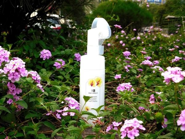 Roof Garden 蘿芙花園 蝴蝶蘭煥白潔顏慕斯