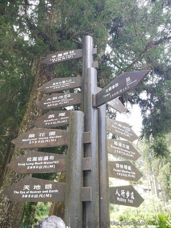 (南投/遊記/一日遊)杉林溪~山中散散心,來一場芬多精之旅吧~