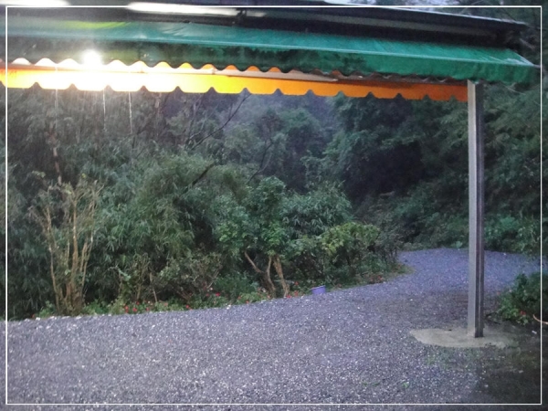 (文山區)野山土雞園~偏僻山區好味道。