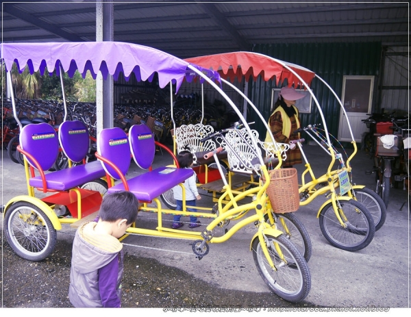 (台東)親子半日遊-關山親水公園+關山環鎮自行車道~小鬼頭出動,賞鳥團變嚇鳥團~