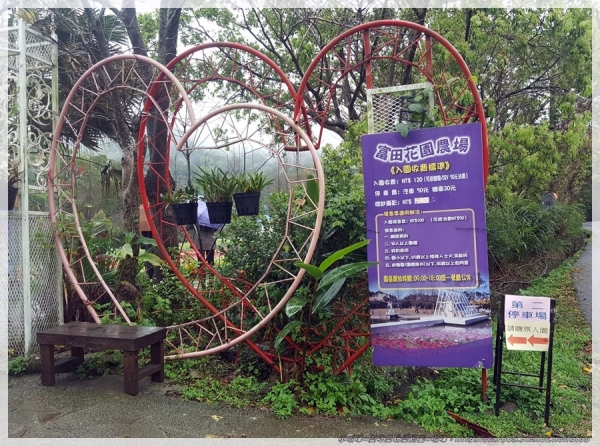 富田花園農場~拍照的好景點,體驗餵養小動物~(桃園/大溪/親子同遊/半日遊/景點)