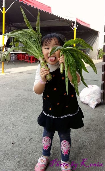 <宜蘭>行健有機好市集~阿土農場撿草採菜做菜心送辣椒喝洛神