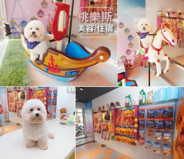 【台南寵物美容】桃樂斯寵物美容/寵物住宿|寶貝也要進廠保養,大推超細心寵物美容師!