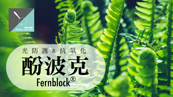 光防護&抗氧化 —— 酚波克