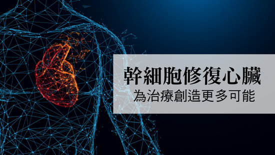 幹細胞修復心臟 為治療創造更多可能