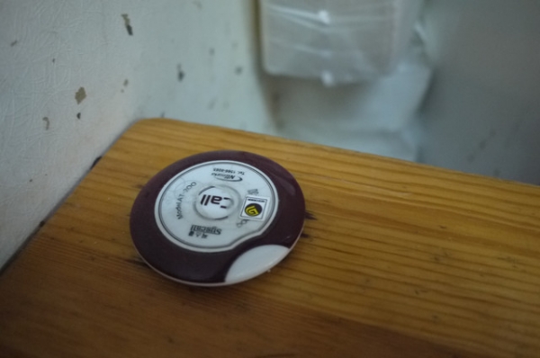 首爾 不可錯過的土俗村蔘雞湯