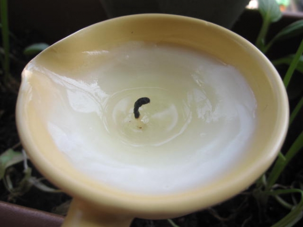 情人節專屬 可以馬殺雞的香氛舒壓蠟燭