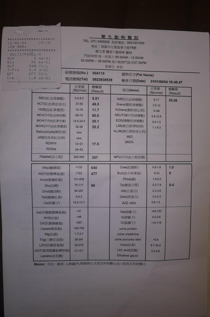 我撿到的小毛毛 希望有可以愛他一輩子的人可以認養喔!!