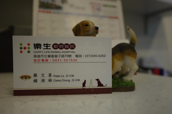 我撿到的小毛毛 希望有可以愛他一輩子的人可以認養喔!!