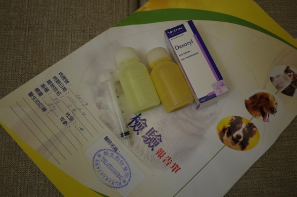 我撿到的小毛毛 希望有可以愛他一輩子的人可以認養喔!!