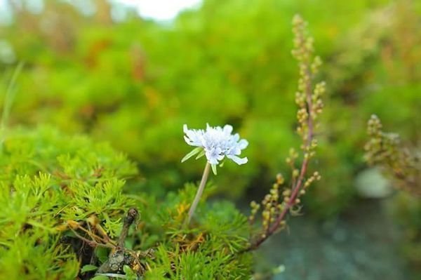 小英藥師講催眠(四)-向溺死的前世告別
