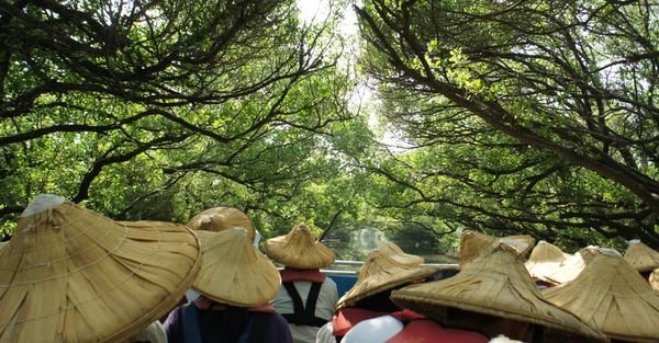 台南市安南區好七逃-台江國家公園坐船趣
