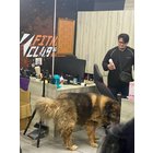 小獸醫外診館長大雄2.0