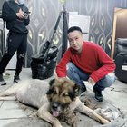 小獸醫外診館長大雄2.0