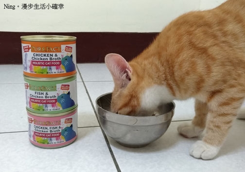 【寵物】波菲特貓用主食罐-不含穀類、無加膠主食罐,適合各年齡層的貓咪