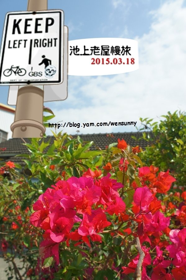 2015春遊池上好風光,隔日不急著離開依手冊建議路線來趟老屋時光慢旅老屋
