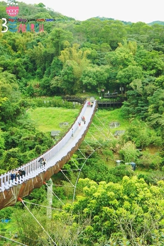 春暖花開之季內湖山上好風景_碧山巖.白石吊橋.夫妻樹.草莓園