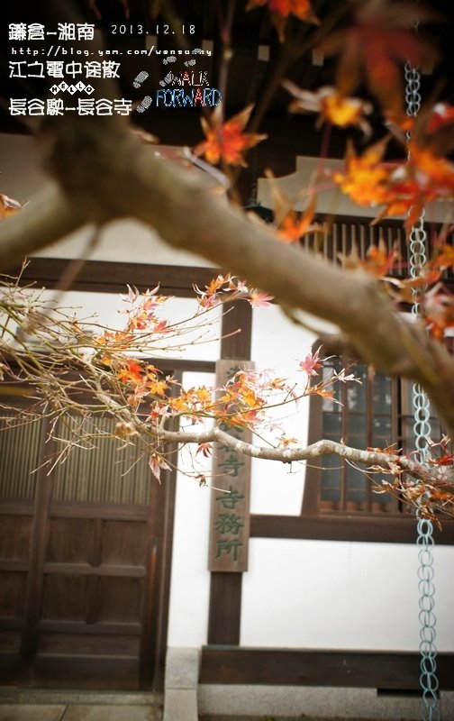 鎌倉中途散策_長谷寺、鎌倉大佛