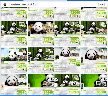 「2012年Panda Quest成都熊貓守護使」台灣選手入圍準決賽,一起幫台灣加油壓!!!!