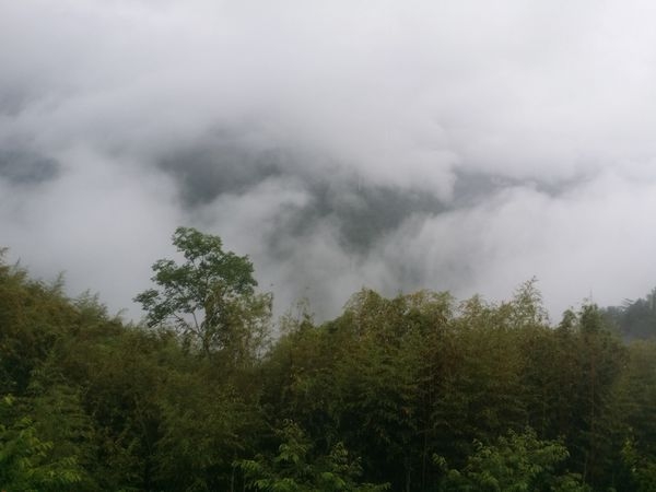 造訪上帝的部落-司馬庫斯 (下集) 參加五福旅行社
